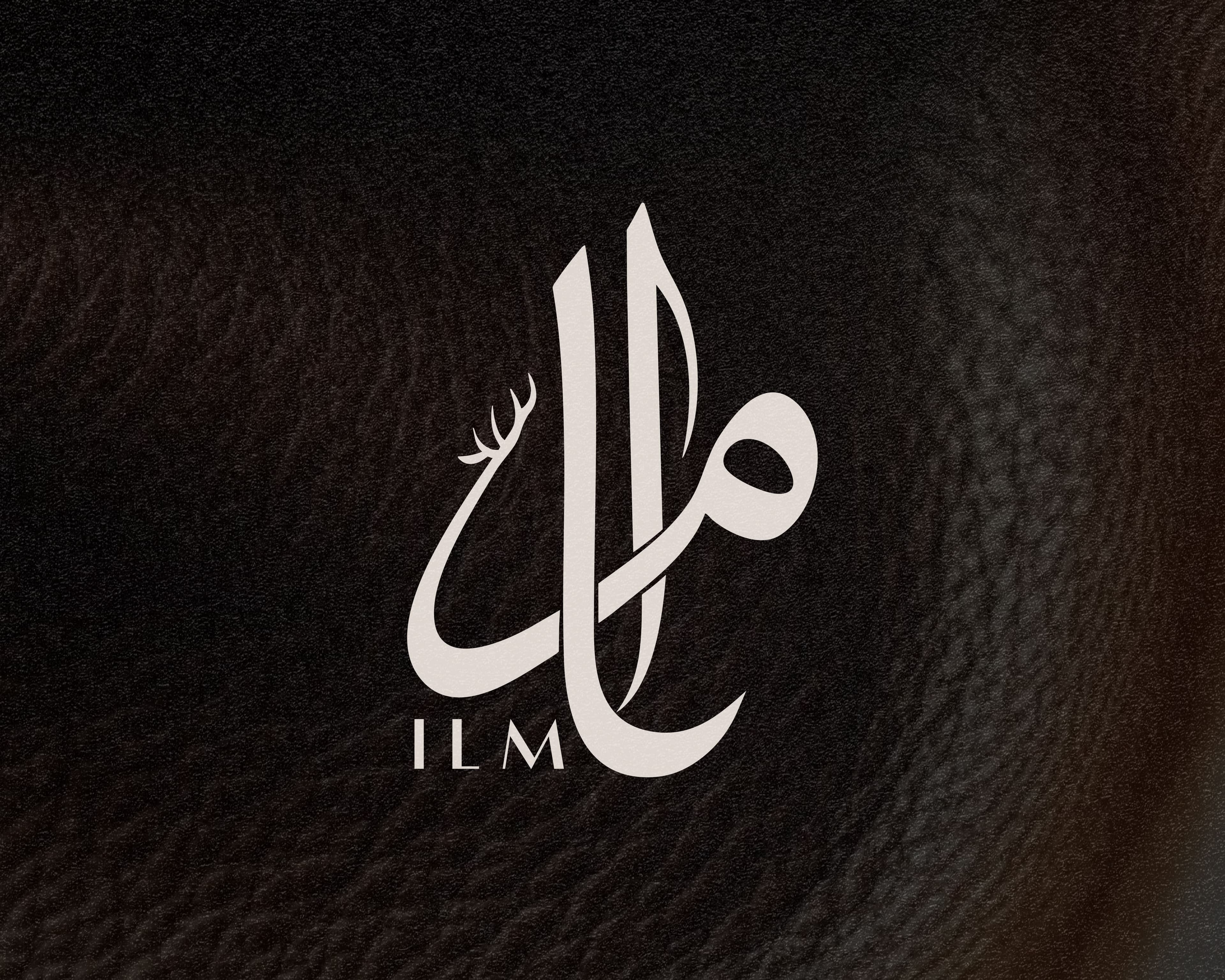 ILM Brand Identity image 1
